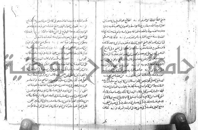 مذيل الشفا