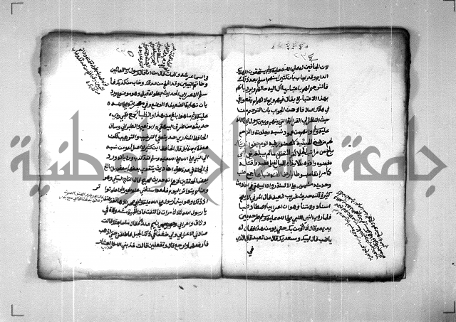 شرح الهمزية  