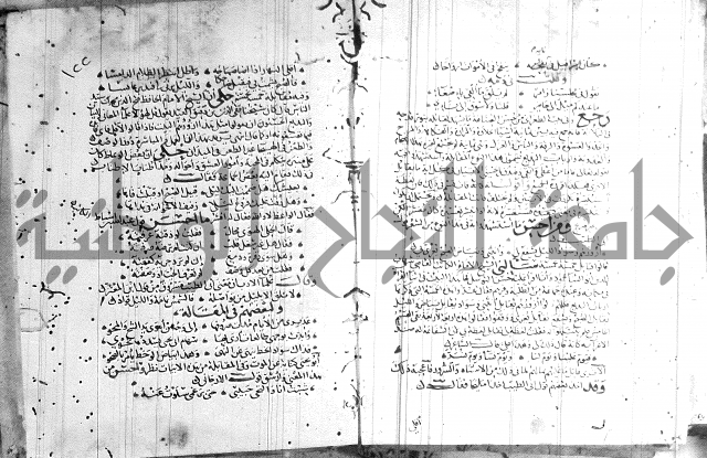 شرح لامية العجم 