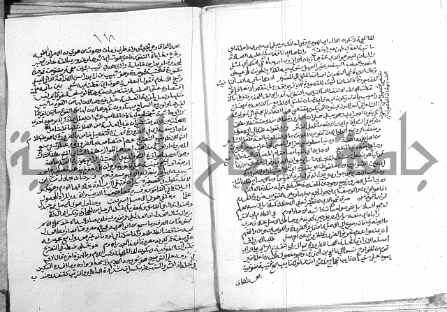 كتاب في اللغة العربية