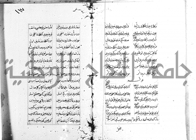 كتاب يوسف زليخا المؤلف 