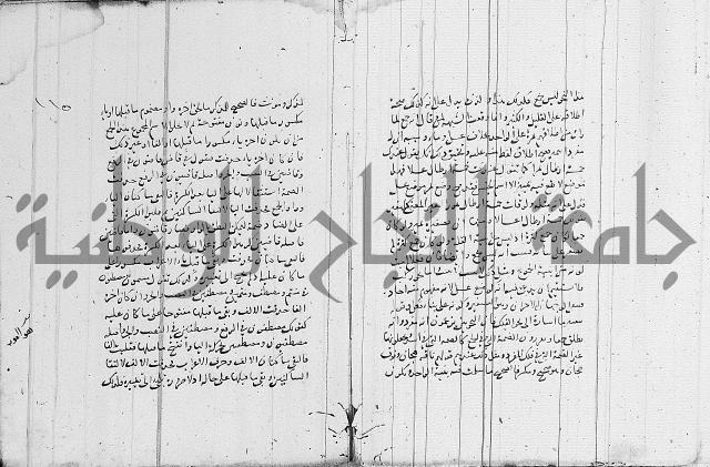 نحو - شرح الكافية