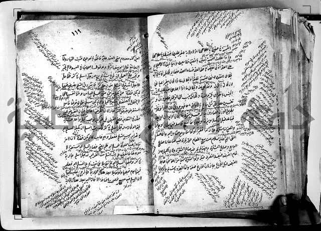 مذهب ابي حنيفة في الفقة