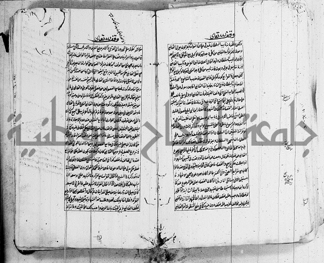 الاشباه والنظائر