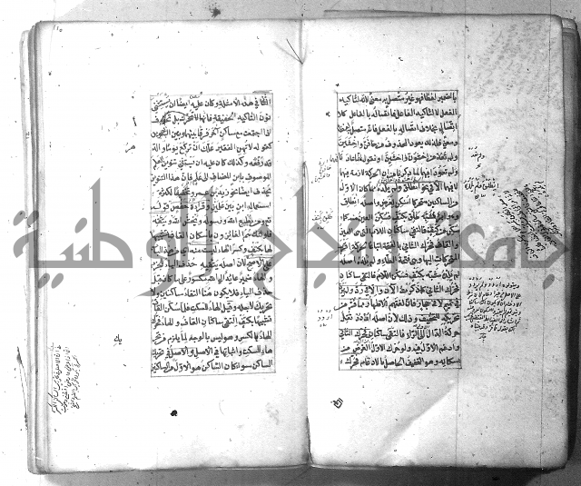 شرح الشافية 