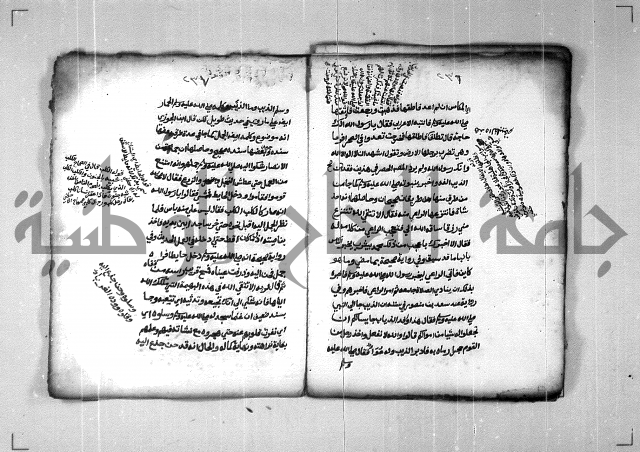 شرح الهمزية  