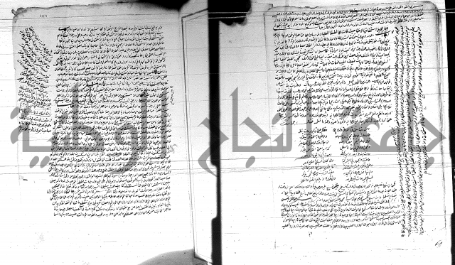 الفتاوى الحسينية
