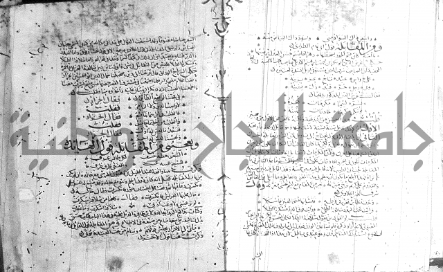 شرح لامية العجم 