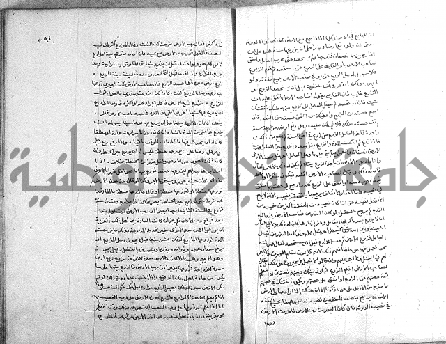 خزانة المفتين