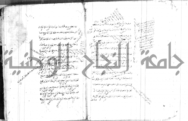 ضوء في علم النحو