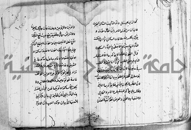 شرح الانموذج