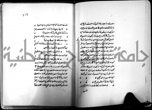 شرح شذور الذهب في معرفة كلام العرب 