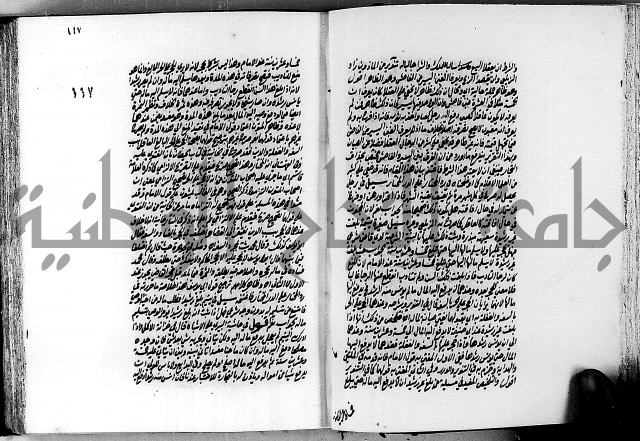 الجواهر الدورية في تنقيح الفتاوى الحامدية ج2 