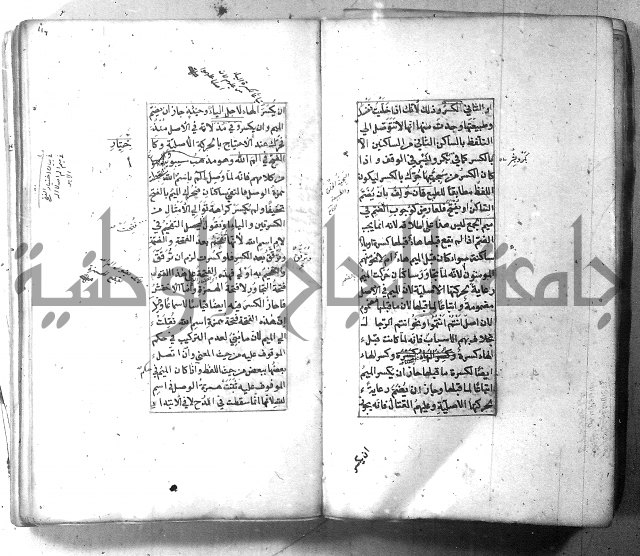 شرح الشافية 