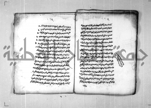 شرح الهمزية  