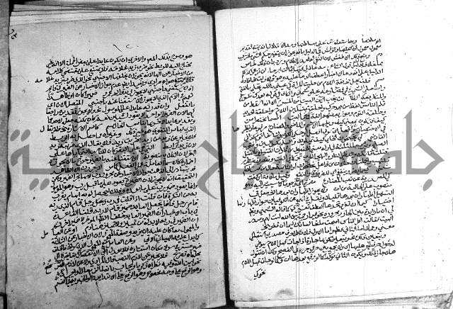 كتاب في اللغة العربية