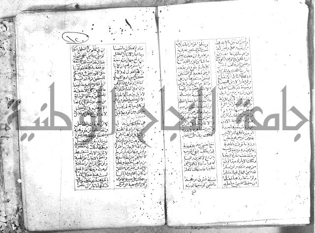 خلاصة التنوير 