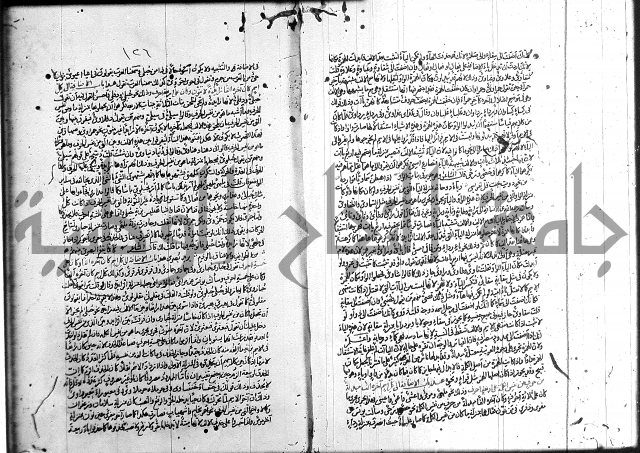 سيبويه 