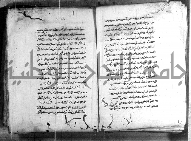 المواشح على الكافية