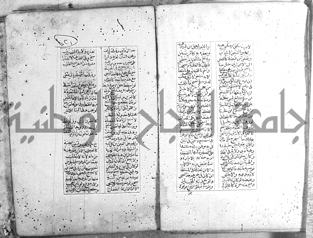 خلاصة التنوير 