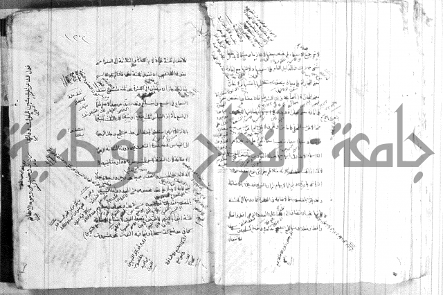 ضوء في علم النحو