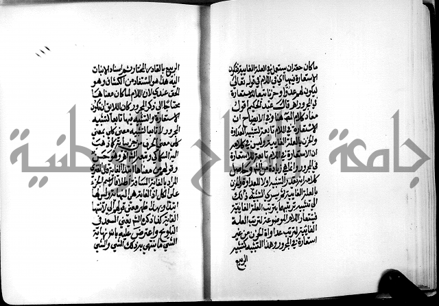 الرسالة البيانية