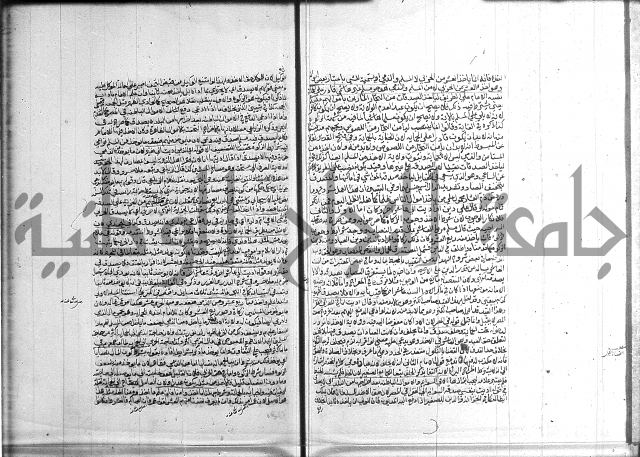 تنوير الابصار 