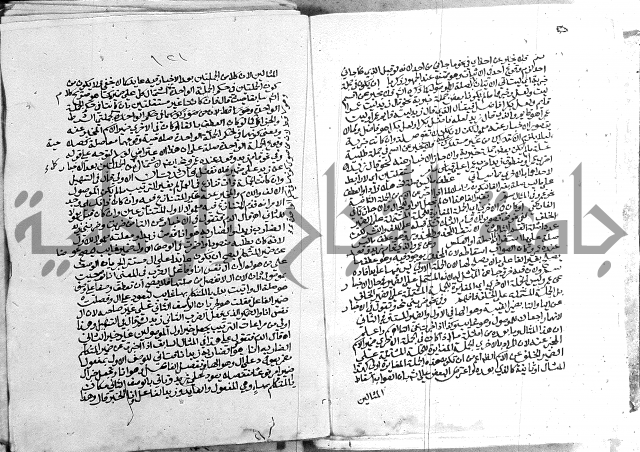 كتاب في اللغة العربية