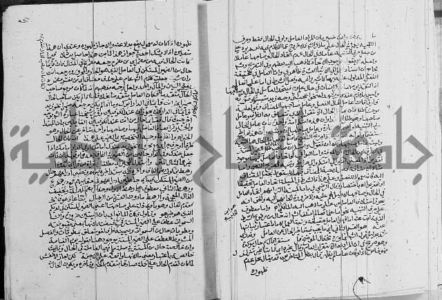 كتاب في اللغة