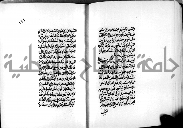 الرسالة البيانية