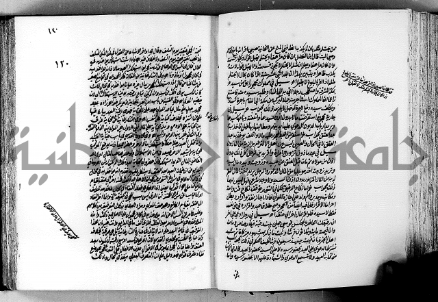 الجواهر الدورية في تنقيح الفتاوى الحامدية ج2 