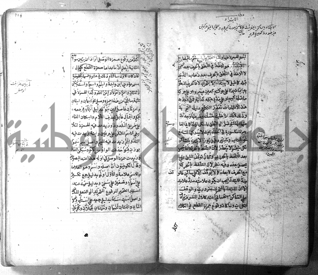 شرح الشافية 