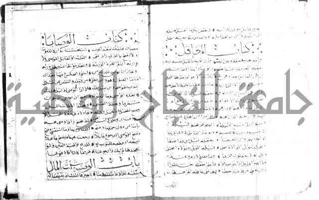 نظم كنز الدقائق