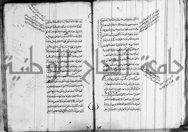 فوائد على الكافية 