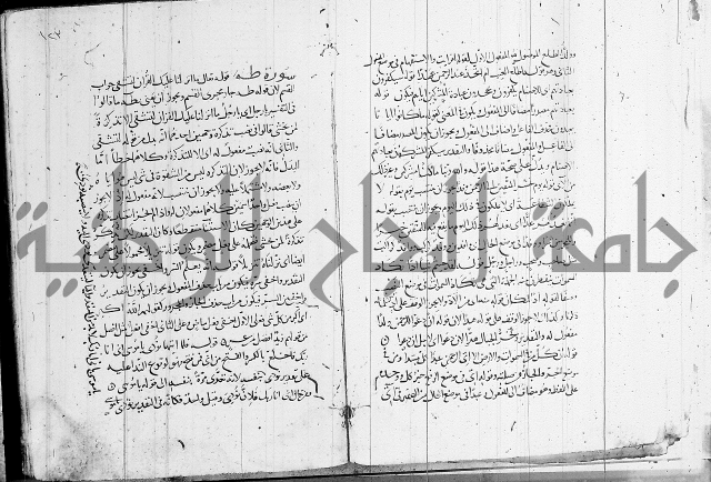 كشف المشكلات 