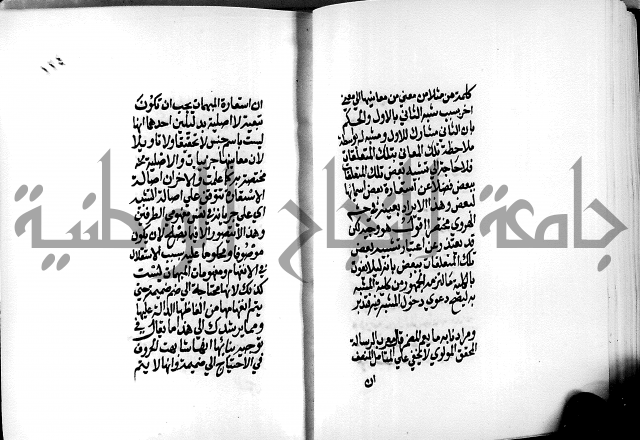 الرسالة البيانية