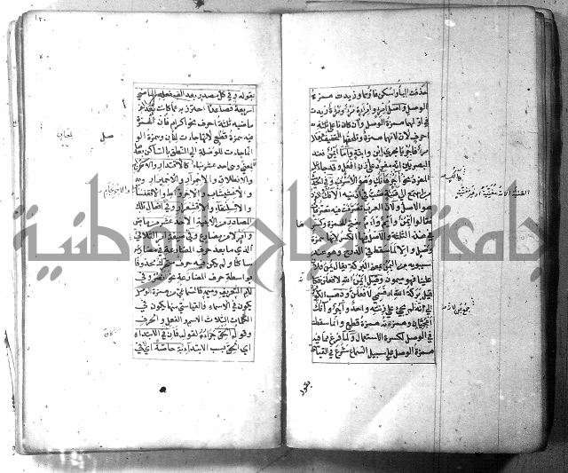 شرح الشافية 