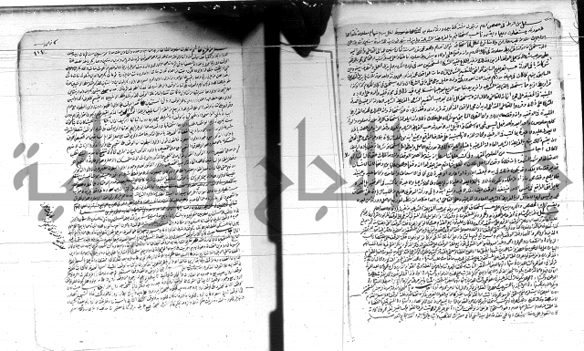 الفتاوى الحسينية