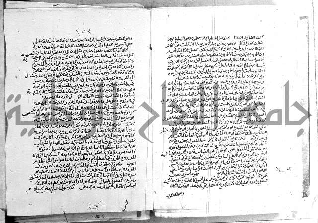 كتاب في اللغة العربية