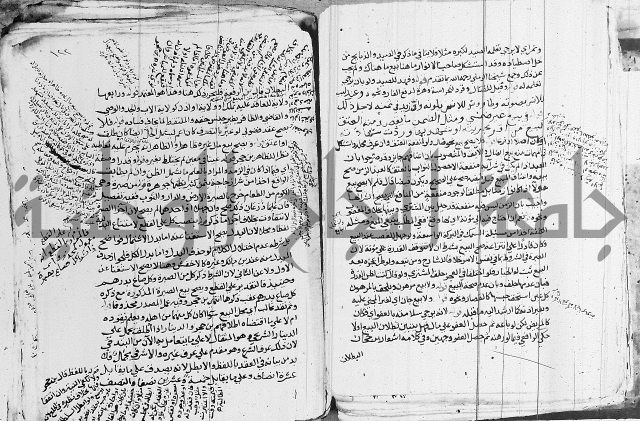 الزيادي على المنهج 