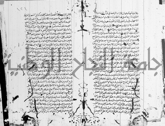 شافعي اصول فقه 