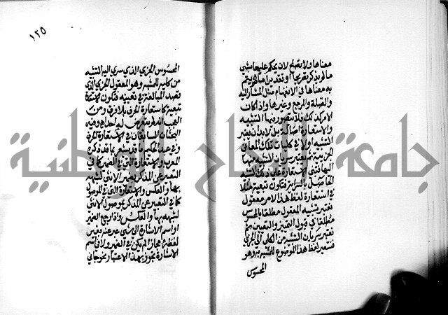 الرسالة البيانية