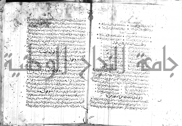 شرح لامية العجم 
