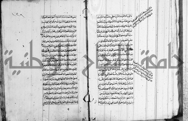 فوائد على الكافية 