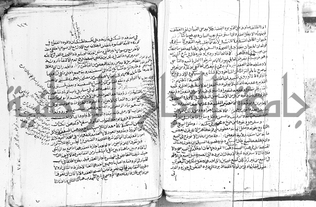 الزيادي على المنهج 
