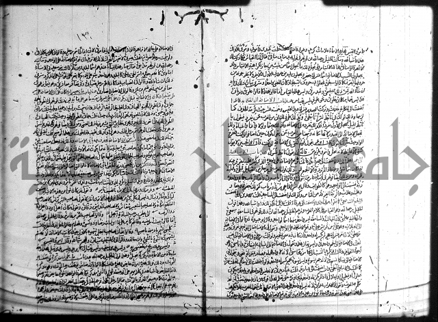 سيبويه 