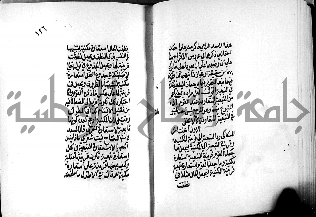 الرسالة البيانية