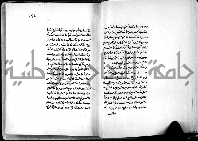 شرح شذور الذهب في معرفة كلام العرب 