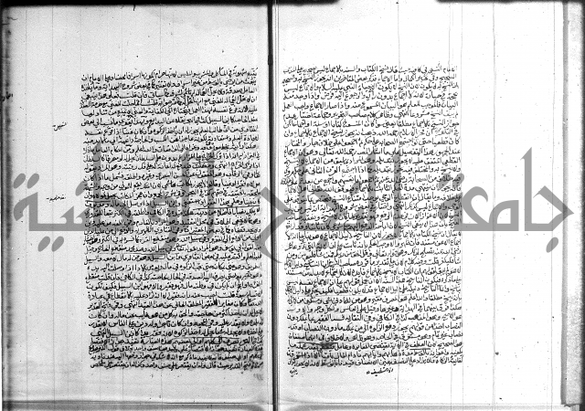 تنوير الابصار 