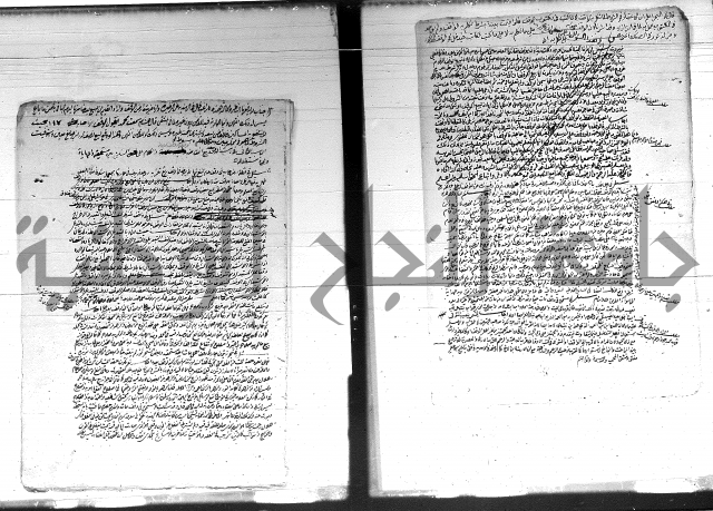 الفتاوى الحسينية